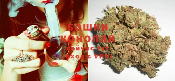 ПСИЛОЦИБИНОВЫЕ ГРИБЫ Приозерск