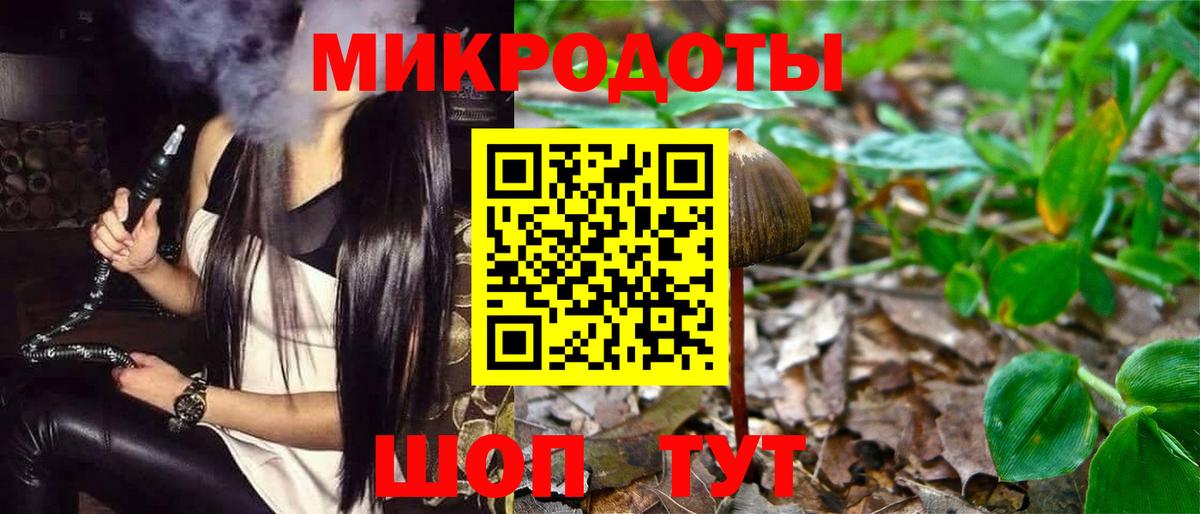 Псилоцибиновые грибы MAGIC MUSHROOMS  Галлюциногенные грибы прущие грибы  Тайшет  Вход с VPN 