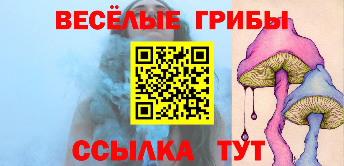 Псилоцибиновые грибы Psilocybe Тайшет